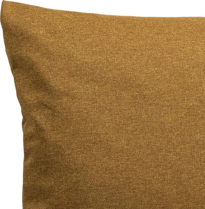 Actual product image Freistil Rolf Benz Freistil 160 (60 x 40 cm)