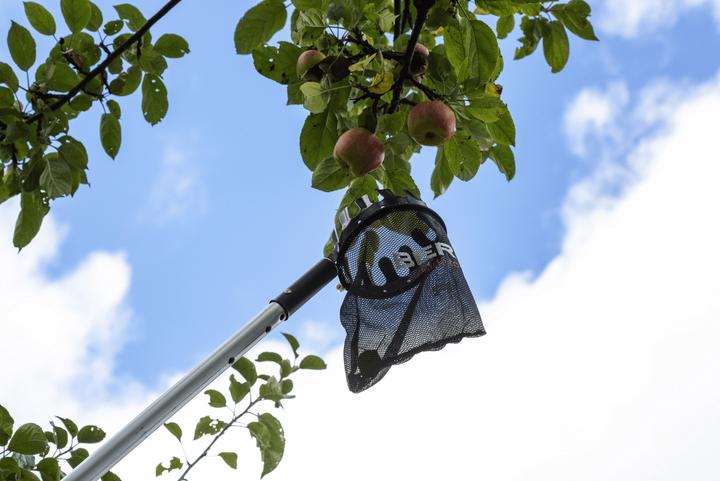 Actual product image Berger fruit picker