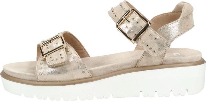 Beige, Conchiglia 05