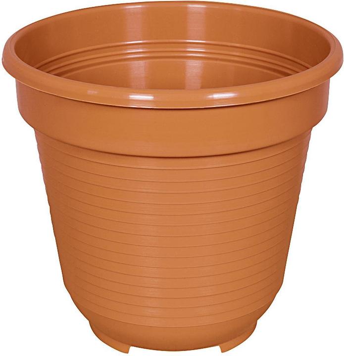 Immagine prodotto Geli Standard (10 cm)