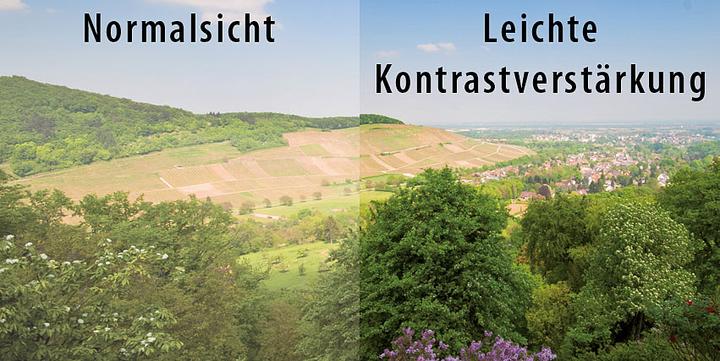 Actual product image Pearl Set of 2 cover sunglasses "Day Vision" for spectacle wearers