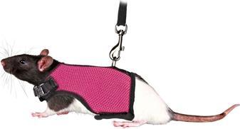Image du produit Trixie Harnais souple avec laisse pour rats (Rongeur, Général)