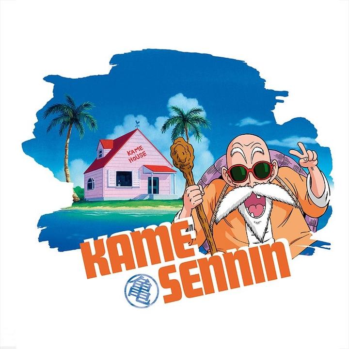 Actual product image ABYstyle DRAGON BALL - Tshirt DBZ Master Roshi man SS white - New fit (M)