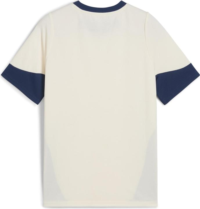 Produktbild Puma FPF Training Jersey Jr (176)