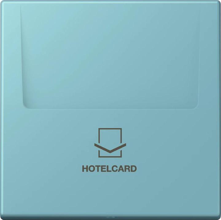 Image du produit JUNG Guichet Hotelcard (Carte clé)