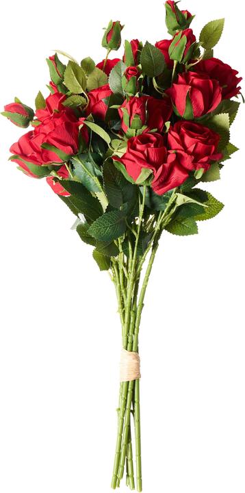 Immagine prodotto Beliani Boiro (65 cm)