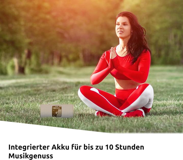 Produktbild TechniSat DigitRadio 2 S (DAB+, FM, Bluetooth)