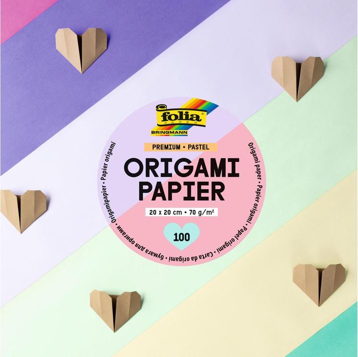 Image du produit Folia Dépliants pastel multicolores 100 feuilles (70 g/m², 100x)