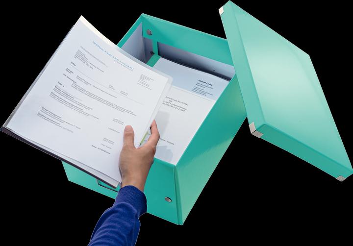 Produktbild Leitz WOW Click & Store Ablagebox (A4)