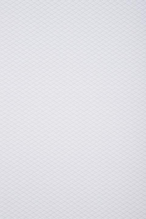 Image du produit Gardinia Store EasyFix (60 x 160 cm)