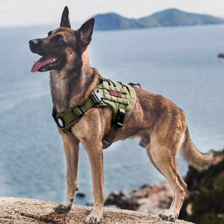 Image du produit OneTigris Sicherheitsgeschirr (M, Chien, Général)