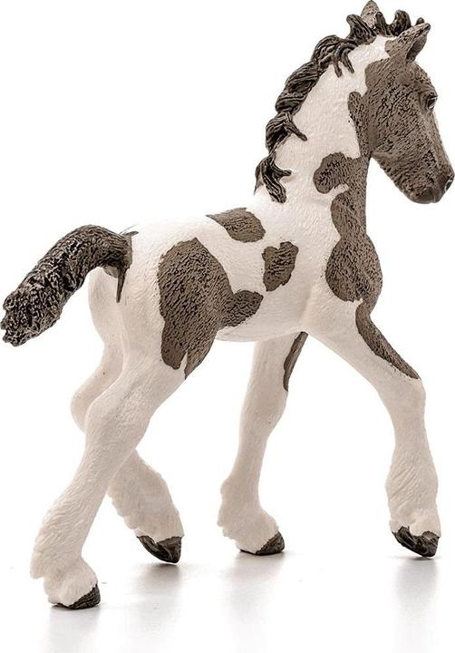 Produktbild Schleich Tinker Fohlen