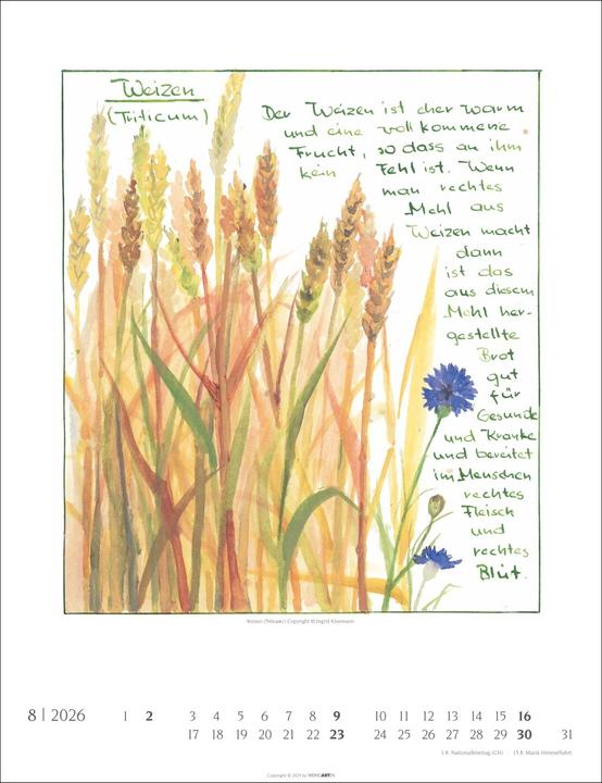 Actual product image Hildegard von Bingen Kalender 2026 (30 x 39 cm)