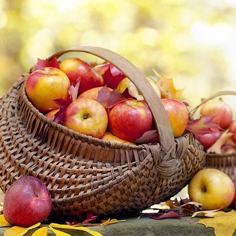 Actual product image Magic Bath Bath salt PROTECTION (Bath salts)