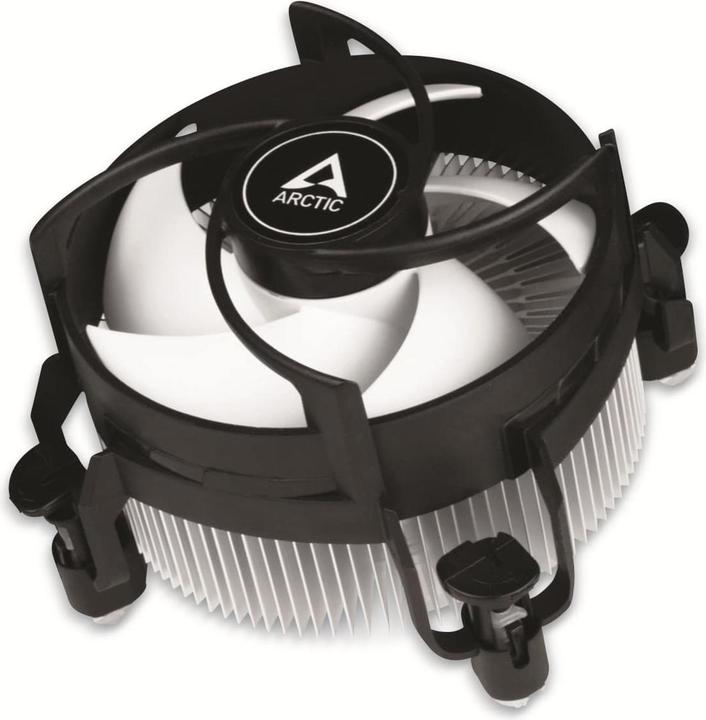 Arctic Alpine 17 (77 mm)