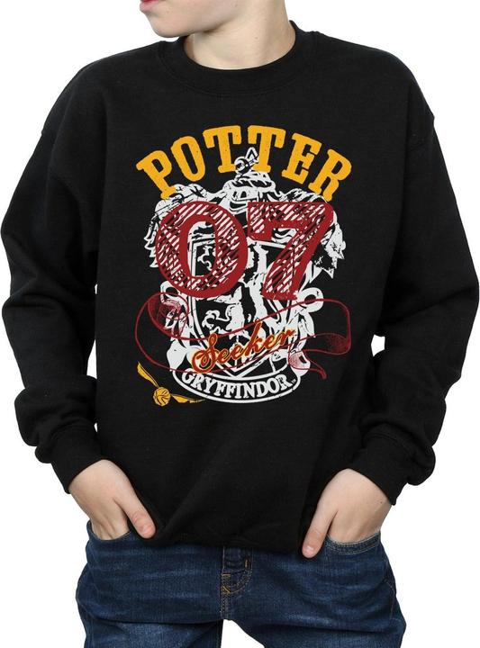 Actual product image Boys Gryffindor Seeker Sweatshirt (152, 158)
