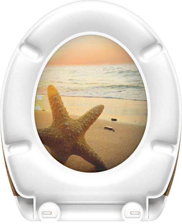 Image du produit Schütte Sea Star