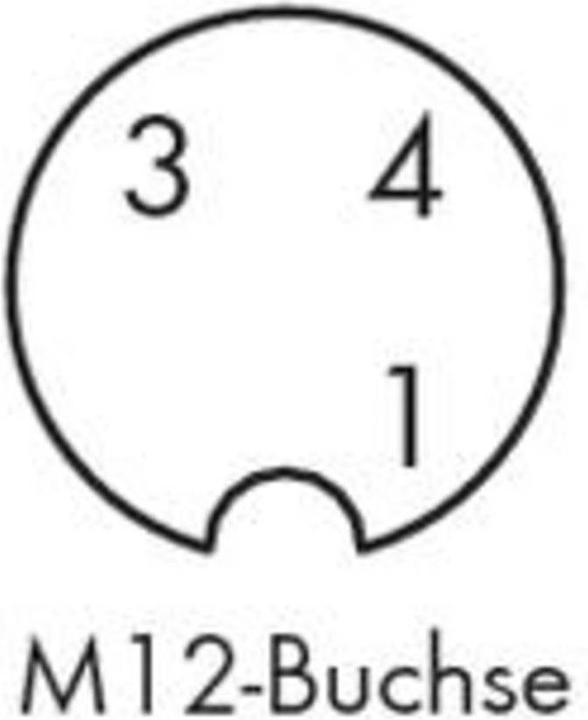 Produktbild Wago Sensor-/Aktor-Steckverbinder