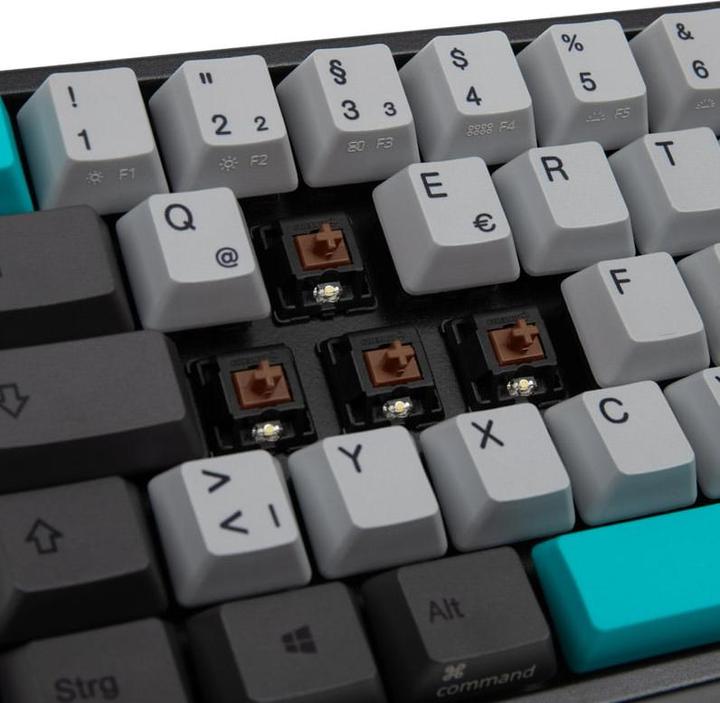 Actual product image Ducky Miya Pro Moonlight (DE, Cable)