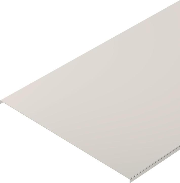 Actual product image OBO Bettermann OBO DRLU 200 A4 Cover unperforated 200x3000 V4A