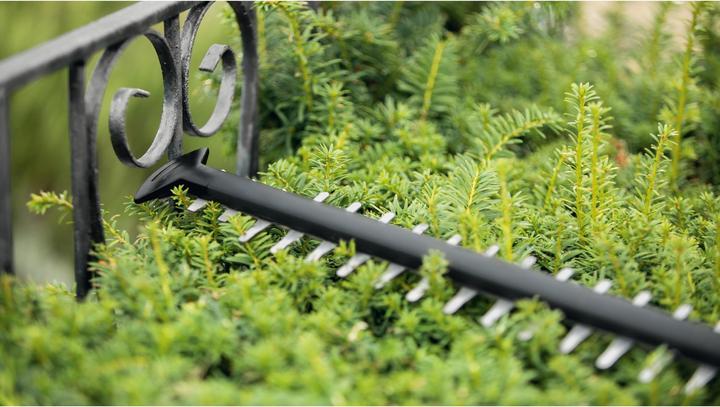 Produktbild Bosch Home & Garden UniversalHedgeCut 18V-50 (Akkubetrieb)