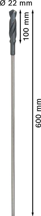 Actual product image Bosch Professional Zubehör PRO Wood HSS installation drill bit, 22 x 100 x 600 mm (22 mm)