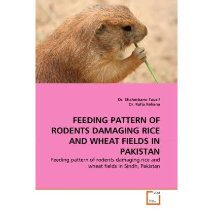 Thumbnail - Feeding Pattern Of Rodents Damaging Rice And Wheat Fields In Pakistan, Fachbücher von Rafia Rehana, Shaherbano Tousif