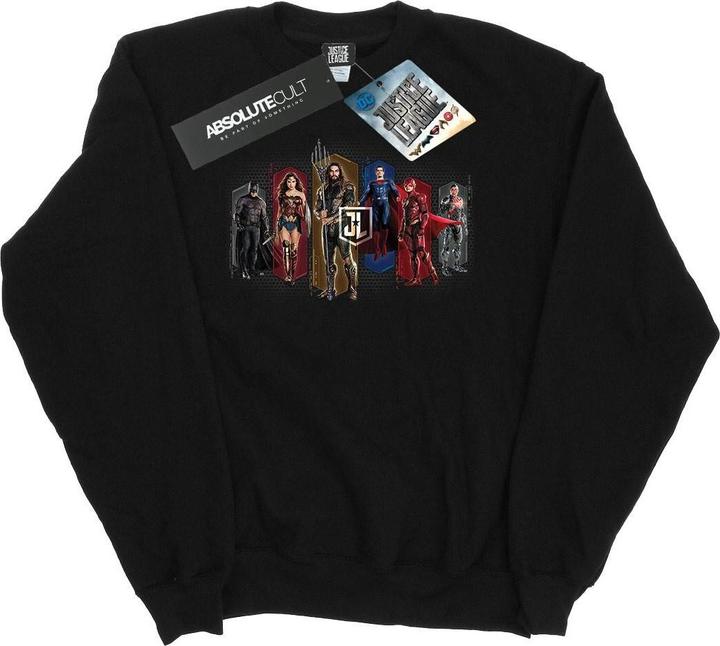 Actual product image Mens Justice League Movie Team Hexagons Sweatshirt (XXL)