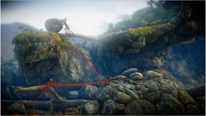 Actual product image EA Games Unravel Yarny Bundle, PS4 (PS4, Multilingual)