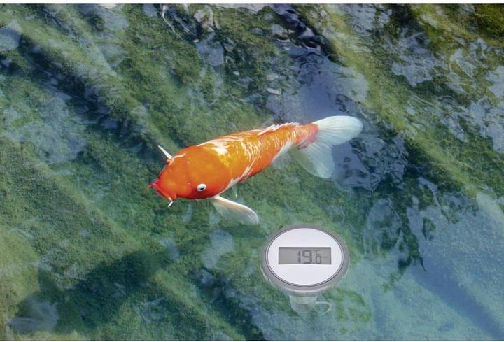 Actual product image TFA Palma