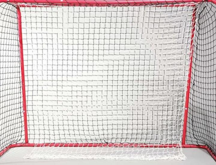 Produktbild Champ Unihockeytornetz Set