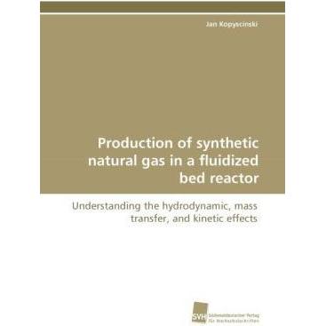 Production of synthetic natural gas in a fluidized bed reactor, Fachbücher von Jan Kopyscinski