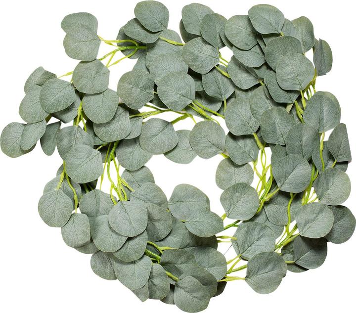 Immagine prodotto IDIMEX Eukalyptus (4 cm)