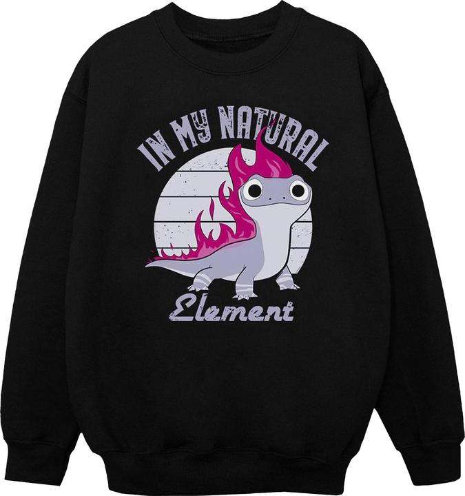 Image du produit Disney - Sweat FROZEN SALAMANDER BRUNI ELEMENT - Garçon (116)