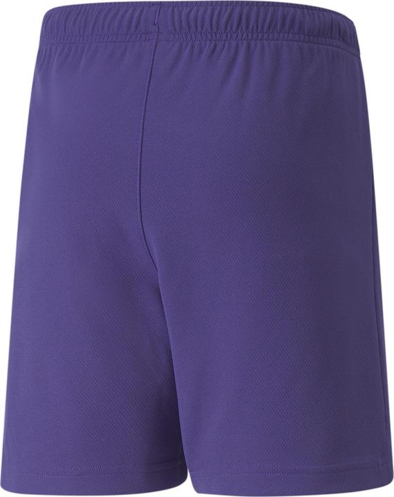 Actual product image Puma teamRISE Short Jr-704943 (116)