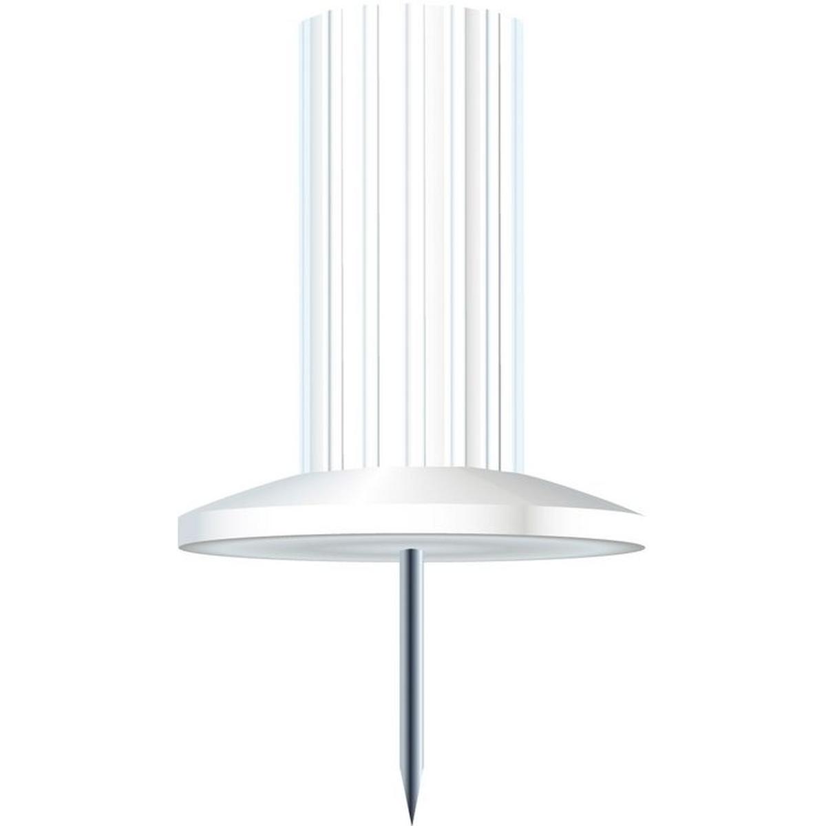 Exacompta, Kartenaufbewahrung, Pinnwandnadeln Ø 10 mm, weiss (Spezial)