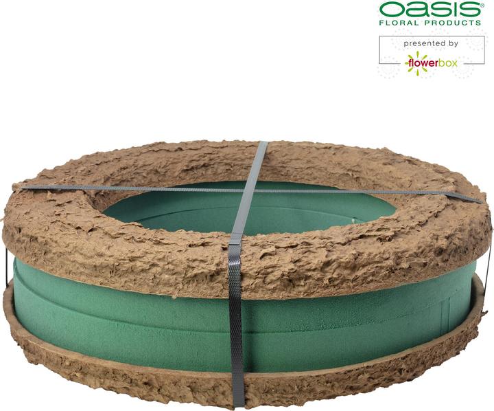 Actual product image Oasis BIOLIT Wreath