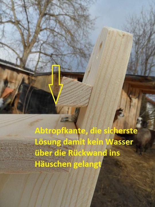 Produktbild Arbrikadrex Eichhörnchen Futterhaus