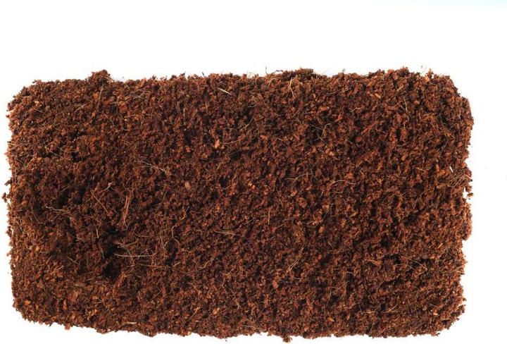 Actual product image Gusta Garden Coconut soil (5 l, Coco Slab)