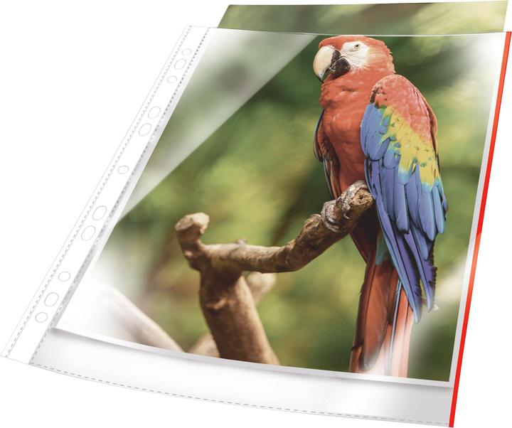 Image du produit Durable Pochettes A4 ouverture haut 25 pcs. transparent, rouge (A4, 25x)