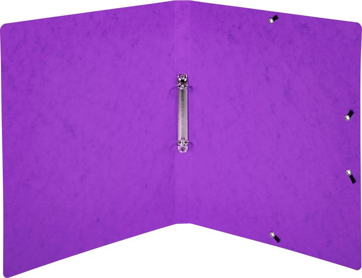 Actual product image Exacompta Colorspan (A4, 20 mm, 1 pcs.)