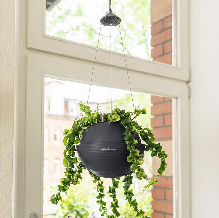 Actual product image Lechuza Flowerpot Bola Color 32 (32 cm)