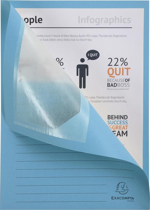 Actual product image Exacompta Collection folders - File covers (A4, 100 x)