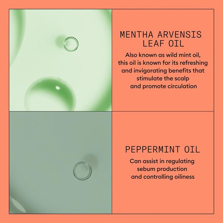 Actual product image Nioxin System 4 Shampoo Cleanser For Fine Color Thinning Hair (Liquid shampoo, 300 ml)