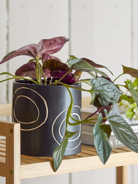 Actual product image Bloomingville Troy