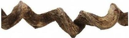 Actual product image Reptiles-Planet Premium Vine Sambawa