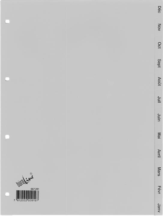 Actual product image BüroLine Plastic register for A4