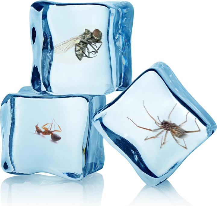 Produktbild Swissinno Insekten Frostspray
