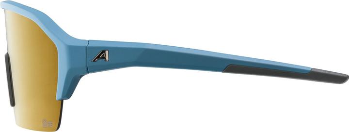 Actual product image ALPINA SPORTS Ram HR Q-Lite (Smoke-blue matt, Gold)