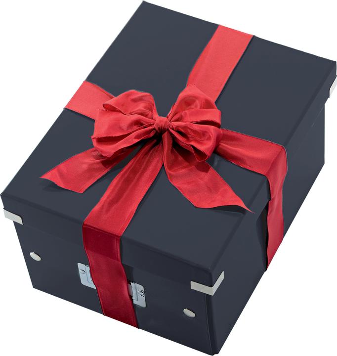 Actual product image Leitz WOW Click & Store storage box (A4)